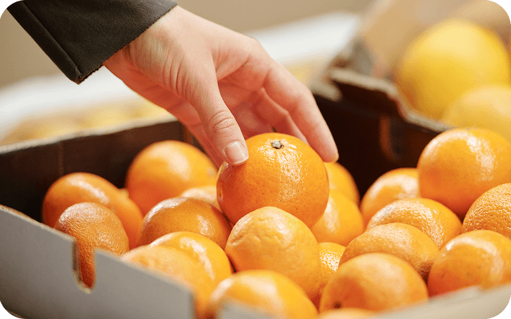 Jeruk segar dipetik langsung untuk SqueezeMe vending machine