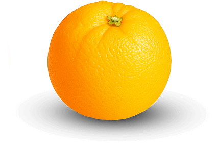 Valencia Orange